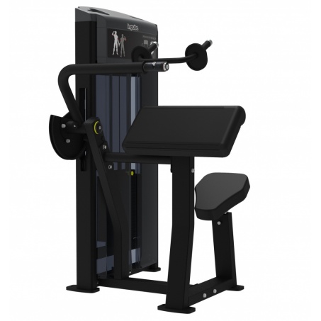 Рендер-1 для AeroFit IF9323 Разгибание рук