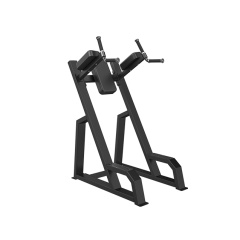Svensson Industrial E3047 Matte Black из каталога стоек турник брусья-пресс в Казани по цене 39950 ₽