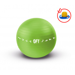 Original FitTools 65 см. с насосом зеленый FT-GBPRO-65GN из каталога фитболов  в Казани по цене 1690 ₽