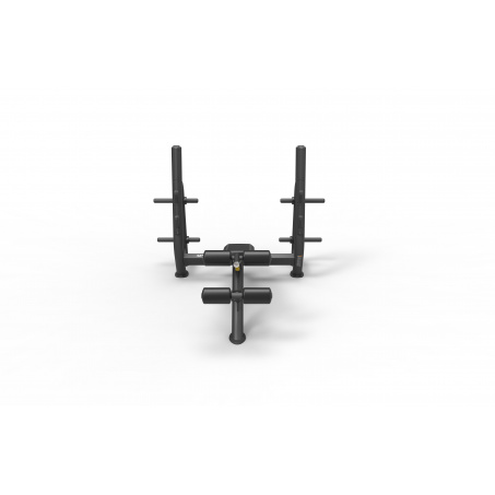 Рендер-1 для Spirit SP-4211 с отрицательным наклоном