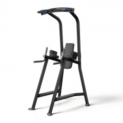 Matrix Magnum MG-A63C из каталога стоек турник брусья-пресс в Казани по цене 267750 ₽