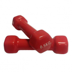 Protrain HC4005-0,5 в Казани по цене 380 ₽ в категории гантели Protrain