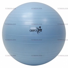 AeroFit - 65 см из каталога гантелей для фитнеса в Казани по цене 2346 ₽