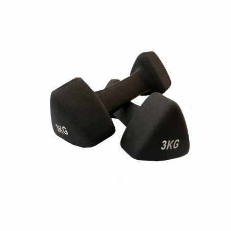 Рендер-1 для UltraGym UG1001C от 1 до 10 кг