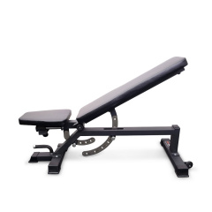 Protrain TC011 из каталога силовых скамей в Казани по цене 48450 ₽