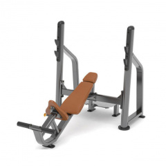 AnyFit PEB102 с положительным углом наклона из каталога скамей со стойкой в Казани по цене 133280 ₽