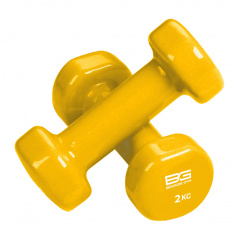 Bronze Gym виниловая 2 кг (пара) из каталога гантелей для фитнеса в Казани по цене 1670 ₽