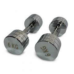UnixFit PRO круглая 6 кг DBRND6PCE из каталога хромированных гантелей в Казани по цене 3290 ₽