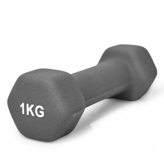 UnixFit 1 кг Grey DBNEO1GY из каталога неопреновых  гантелей в Казани по цене 599 ₽