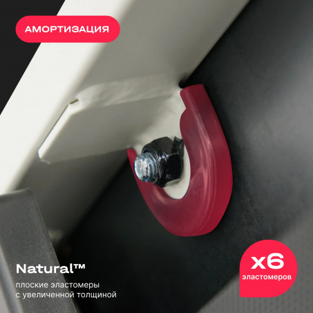 Рендер-16 для Svensson Body Labs Impact A
