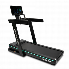 Walkway в Казани по цене 153000 ₽ в категории беговые дорожки Bronze Gym