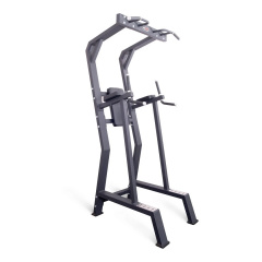 Protrain HC5019 из каталога стоек турник брусья-пресс в Казани по цене 94520 ₽