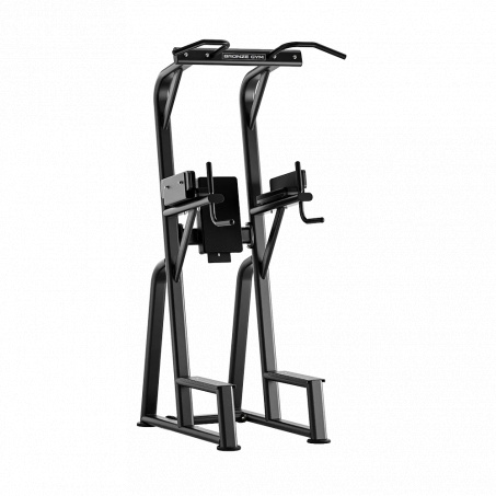 Рендер-0 для Bronze Gym RAVE RE60