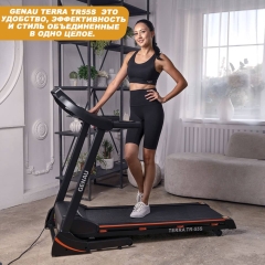 Terra TR-55S в Казани по цене 57120 ₽ в категории беговые дорожки Genau