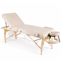 DFC PROFI3 TS312H складной из каталога массажных столов в Казани по цене 33990 ₽