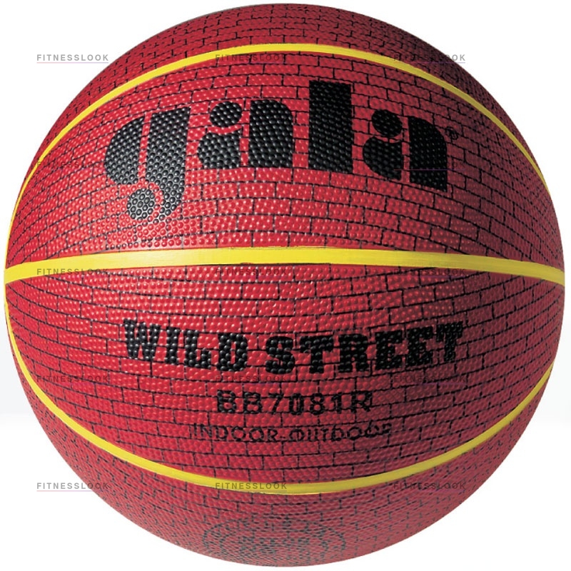 Wild Street 7 в Казани по цене 990 ₽ в категории баскетбольные мячи Gala