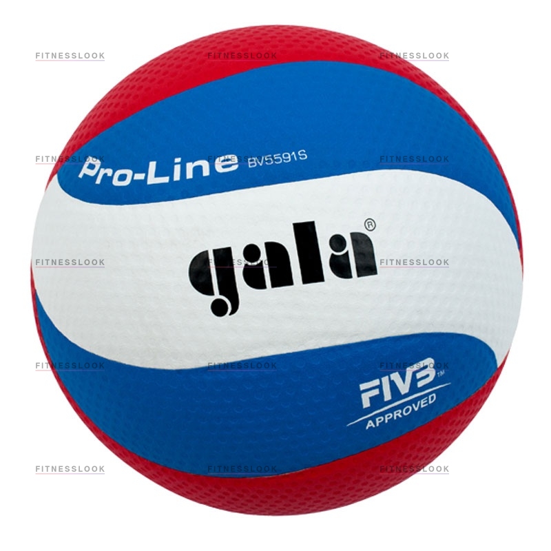 Gala Pro-line из каталога баскетбольных мячей в Казани по цене 3030 ₽