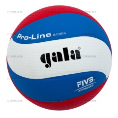 Gala Pro-line из каталога баскетбольных мячей в Казани по цене 2640 ₽