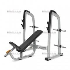 Precor DBR410 - со стойками из каталога скамей со стойкой в Казани по цене 138130 ₽