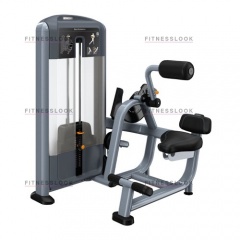 Precor DSL313 - разгибание спины из каталога грузоблочных тренажеров в Казани по цене 444810 ₽